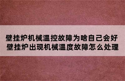 壁挂炉机械温控故障为啥自己会好 壁挂炉出现机械温度故障怎么处理